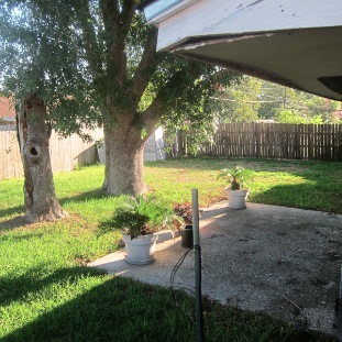 Spacious patio with shade from the mature oak tree